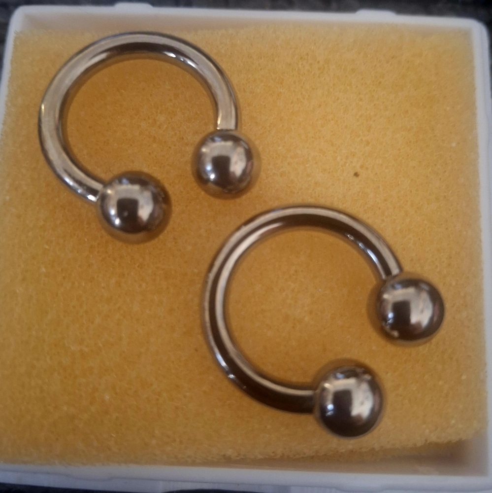 Horseshoe Earrings